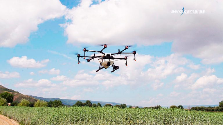drones-plantando-sementes-de-árvores-portada